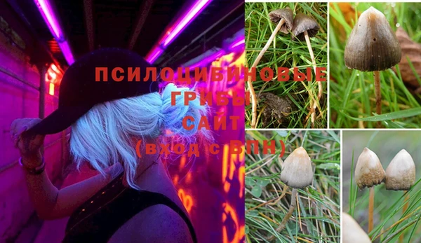 ГАЛЛЮЦИНОГЕННЫЕ ГРИБЫ Абаза