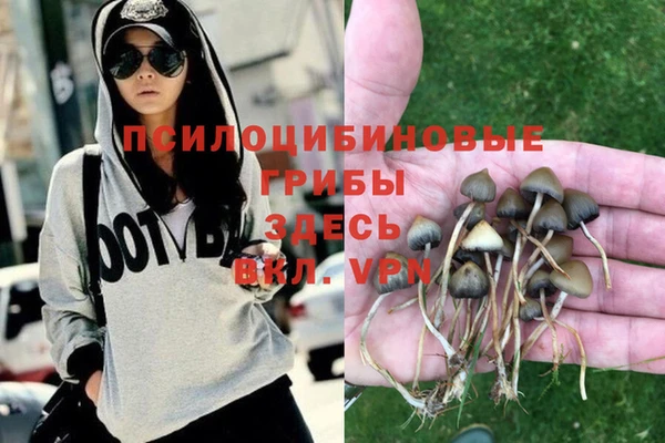 мдпв Абинск