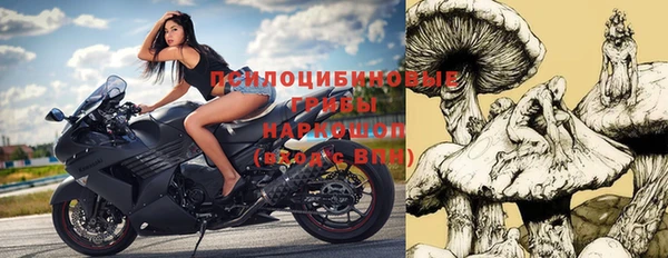стафф Абдулино